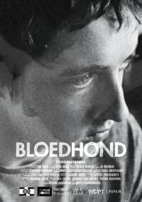 Bloedhond